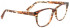 Bellinger Bounce-6 glasses in Brown/Clear