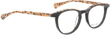 Bellinger Brows-3 glasses in Black/Black
