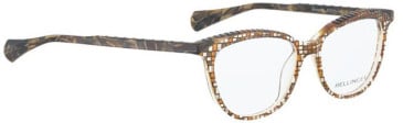 Bellinger Brows-6 glasses in Brown/Brown