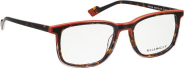 Bellinger Bulldog glasses in Brown/Brown