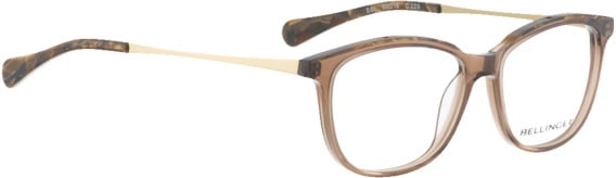 Bellinger Edo glasses in Clear Brown