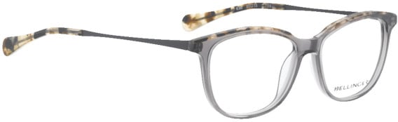 Bellinger Edo glasses in Grey/Grey