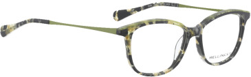 Bellinger Edo glasses in Black/Black
