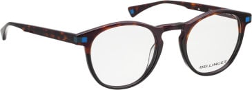 Bellinger Fraser glasses in Brown/Brown