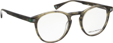 Bellinger Fraser glasses in Green/Green