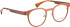 Bellinger Heat-2 glasses in Orange/Orange