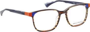 Bellinger Helldiver glasses in Brown/Orange