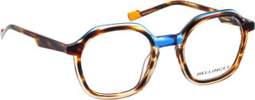 Bellinger Inside-5 glasses in Blue/Brown