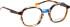 Bellinger Inside-5 glasses in Blue/Brown