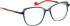 Bellinger Just-331 glasses in Blue/Blue