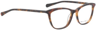 Bellinger Lamina glasses in Tortoiseshell