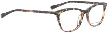 Bellinger Lamina glasses in Brown/Other