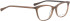 Bellinger Lamina glasses in Brown/Brown