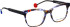 Bellinger Peace glasses in Blue/Brown