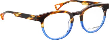 Bellinger Pintail glasses in Brown/Blue