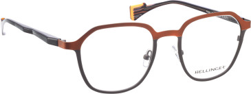 Bellinger Race glasses in Orange/Grey