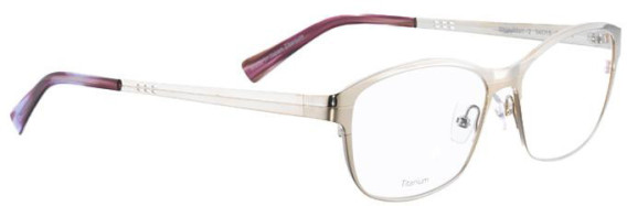 Bellinger Shinymatt-2 glasses in Gold/Gold