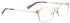 Bellinger Shinymatt-2 glasses in Gold/Gold