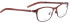 Bellinger Shinysand-3 glasses in Red/Red