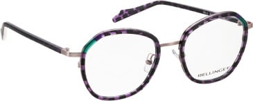 Bellinger Spin-2 glasses in Purple/Purple