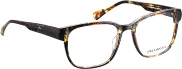 Bellinger Tornado glasses in Brown/Green