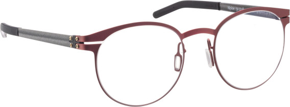 Blac Alpine glasses in Red/Grey