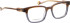 Entourage of 7 Archer glasses in Brown/Grey