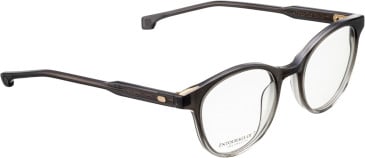 Entourage of 7 Betty glasses in Grey/Clear Grey