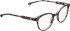 Entourage of 7 Betty glasses in Grey