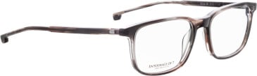 Entourage of 7 Bode-Xs glasses in Brown/Brown