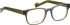 Entourage of 7 Dutton glasses in Green/Brown