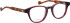 Entourage of 7 Eloize glasses in Purple/Brown