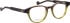Entourage of 7 Eloize glasses in Brown/Green