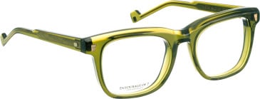 Entourage of 7 Evander glasses in Green/Green