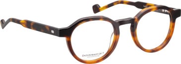 Entourage of 7 Hadley glasses in Brown/Brown