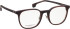 Entourage of 7 Hank-Np glasses in Brown/Brown