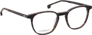 Entourage of 7 Jackson-Sk glasses in Tortoiseshell