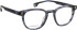 Entourage of 7 Jackson-Xl glasses in Grey/Grey