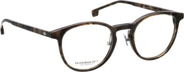 Entourage of 7 Kane-Np glasses in Green/Green