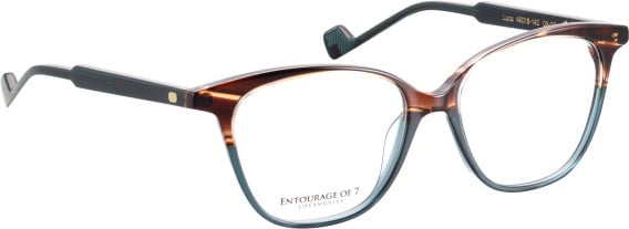 Entourage of 7 Luna glasses in Brown/Blue