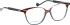 Entourage of 7 Luna glasses in Brown/Blue