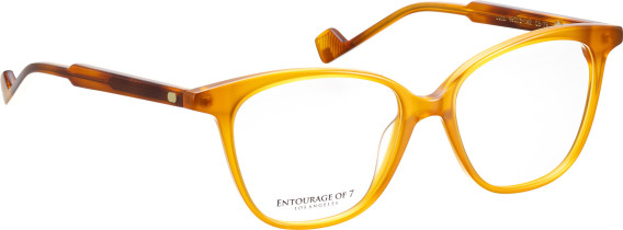 Entourage of 7 Luna glasses in Brown/Brown