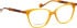 Entourage of 7 Luna glasses in Brown/Brown
