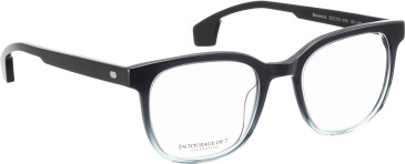 Entourage of 7 Maverick glasses in Black/Blue
