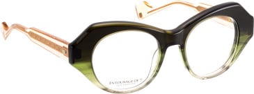Entourage of 7 Olinda glasses in Green/Green