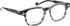 Entourage of 7 Owen glasses in Grey/Green
