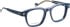 Entourage of 7 Owen glasses in Blue/Blue