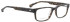 Entourage of 7 Shane glasses in Dark Grey/Brown