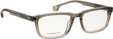 Entourage of 7 Shane-Xl glasses in Green/Green