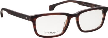 Entourage of 7 Shane-Xl glasses in Tortoiseshell